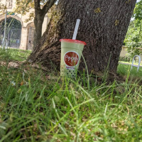 The heatwave may have taken a little break… but our bubble tea obsession hasn’t 😍🧋

Finding the perfect shady spot? 🌳
Got your favourite drink in hand? ✅

Our Japanese Matcha Milk Tea is here for those cooler summer days when you still need that little refreshment 💚

Who else loves a matcha moment? 🍃 🍵

#matchalover #summer #boba #brighton #eastbourne
